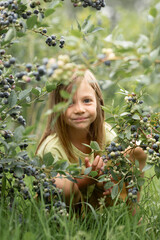 a little girl is peeking out among the greenery and large blueberries