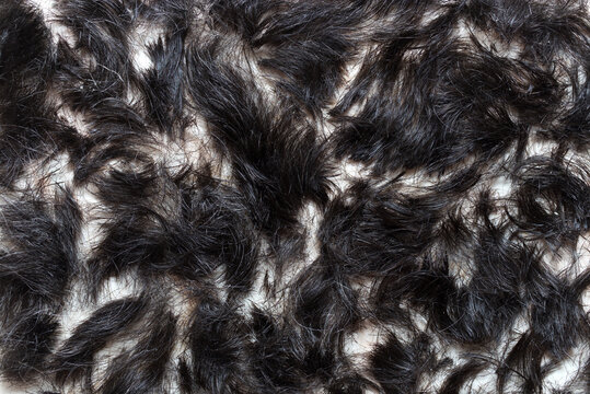 Background with cut hair