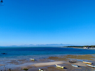 Elegant abstract floral pattern in golden yellow tones with intricate ornamental details, suitable for backgrounds, textiles, or decorative design projects