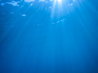 The sun shines through water, casting mottled light and shadow, intertwined with countless bubbles underwater, like a dance of light. Various aquatic, fish swimming in water in Mediterranean sea.