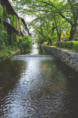 下鴨神社の美しい風景