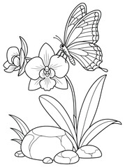 Elegant orchid flower with a butterfly resting on it, surrounded by leaves and rocks in detailed line art style. Perfect for coloring books, botanical illustrations, and nature-themed artwork