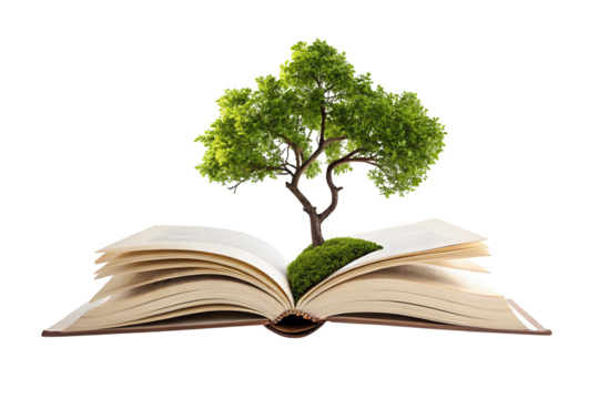 Open book with tree growing symbolizes knowledge growth and learning power imagination concept