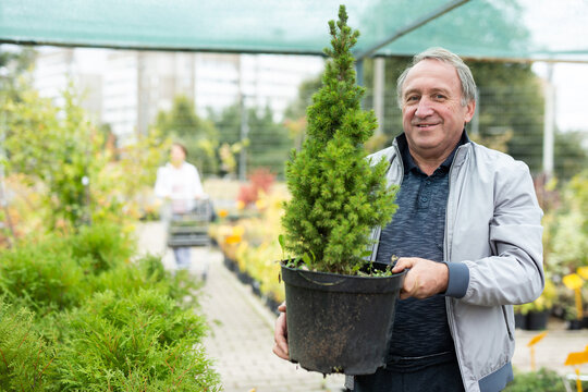 Aged man customer buying plants in open-air market