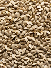 Broken sunflower seed kernels on a plain white backdrop
