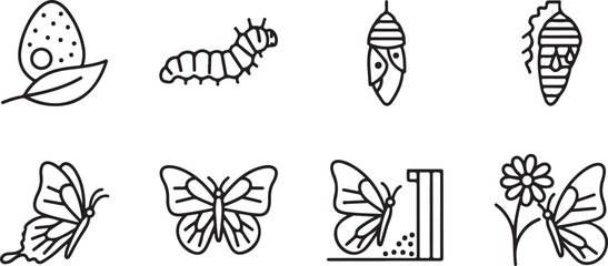 Minimalist Black Butterfly Life Cycle Line Icons on White Background &ndash; Educational Insect and Metamorphosis Vector Icon Set
