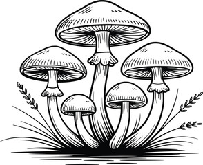 Black and White Mushroom Illustration, Forest Fungi Drawing Clipart.