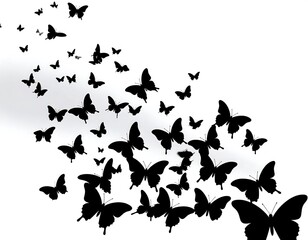 Fototapeta premium Black butterflies silhouettes flying