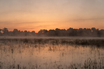 Piękny letni mglisty poranek nad wodą © Elżbieta Kaps