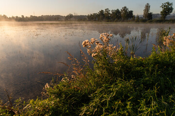 Piękny letni mglisty poranek nad wodą © Elżbieta Kaps