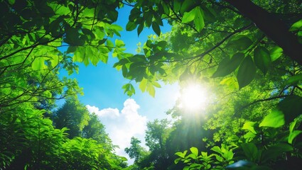 Lush green forest canopy with sunlight shining through the leaves, vibrant nature scene, serene and fresh environment.