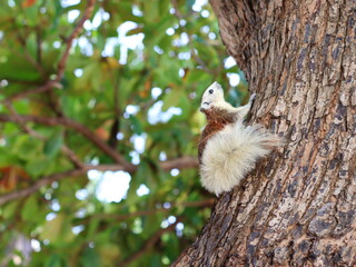A small squirrel perched on a tree branch, alert and curious, surrounded by lush green leaves, capturing the beauty of wildlife in nature.