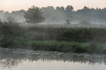 Mglisty poranek w starorzeczu wisły, Wola Śląsk.  © Elżbieta Kaps