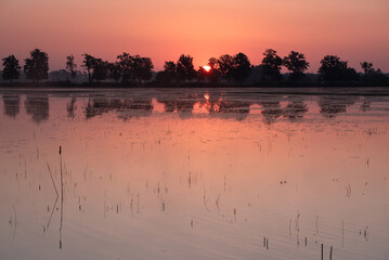 Piękny wschód słońca nad wodą latem, Polska Śląsk.  © Elżbieta Kaps
