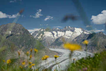 Photographs of the Aletsch Glacier, taken from Riederalp in the Rhone Valley, Wallis, Switzerland....