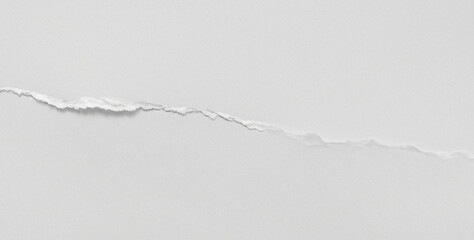 Real paper texture with torn center edge and uneven cut