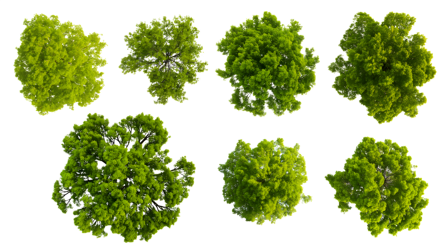 Top view of various green trees isolated on white background