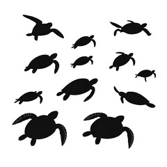 Sea turtle caretta silhouettes set, large pack of vector silhouette design, isolated white background