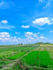 Obraz premium Clear sky