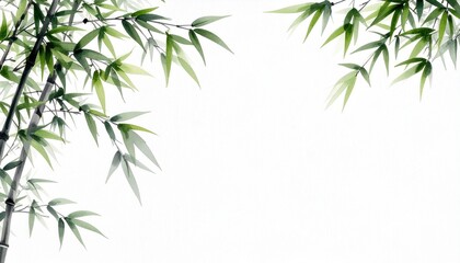 Fototapeta premium Elegant Bamboo Leaves on Minimalist White Background