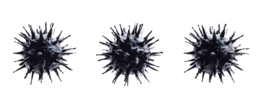 Three Detailed Crystal-Like Virus Structures Against Transparent Background