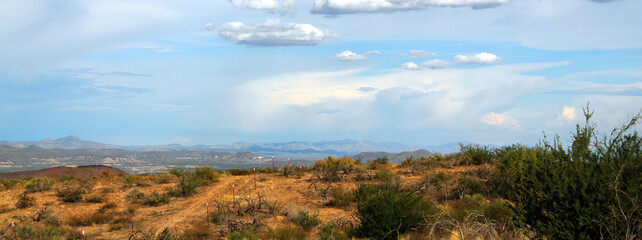 Landscape Sonoran Desert Arizona