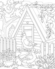 Ducks in the yard. Rural landscape. Coloring page for adults. Vector illustration.