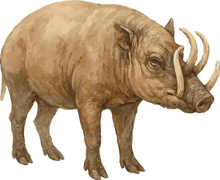 Vector watercolor illustration of a babirusa pig