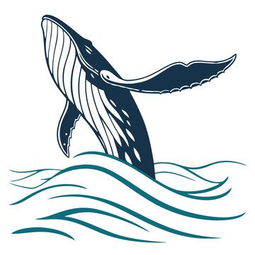 Humpback whale breaching in ocean waves, illustration