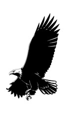 Fototapeta premium Elegant black and white vector silhouette of a flying eagle, spread wings, high detail feathers, isolated on white