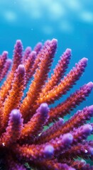 Fototapeta premium Colorful coral reef with vibrant pink and orange hues in a tropical underwater environment