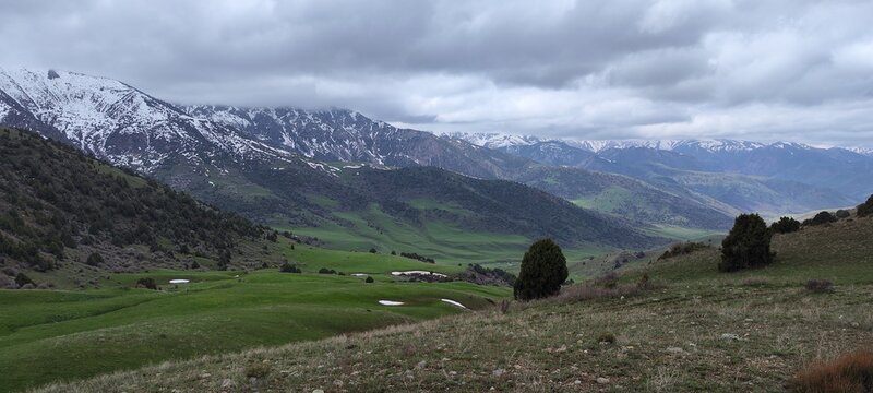 Low clouds, over spring green meadows, in the mountains. Tonkeris village, Karatobinsky rural district, Tolebiysky district, Turkestan region, Republic of Kazakhstan.