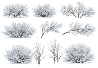 A collection of nine different winter bushes and branches covered in snow on a white background