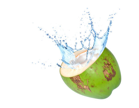 Coconuts water splashing out of a fresh green coconut isolated on  white background