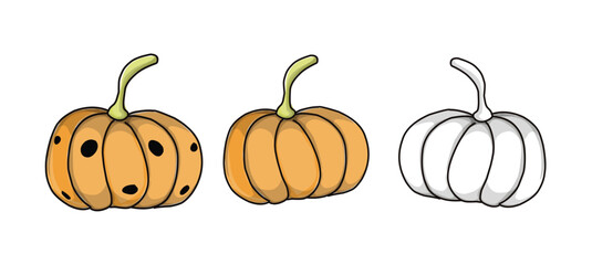 Pumpkin  vector illustration.eps
