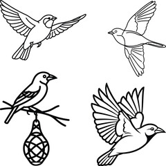 Weaver Bird outline various poses, flying & perched, simple vector design
