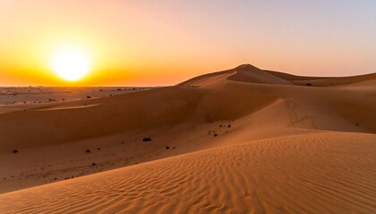 Golden desert sunset