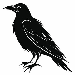 Obraz premium Vector Illustration Of Back and white Crow Silhouette – Isolated on White Background