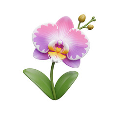 Naklejka premium Vibrant orchid blossom artwork with layered petals presented on clean backdrop