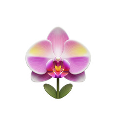 Fototapeta premium Elegant orchid blossom illustration against a stark black backdrop, showcasing its detailed features