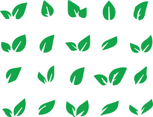 maple leaves icon collection isolated on transparent background. vector illustration
