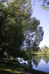 Obraz premium tranquillity by the lake