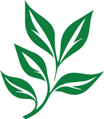 maple leaves icon collection isolated on transparent background. vector illustration
