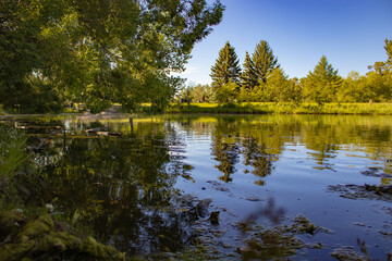 tranquillity by the lake