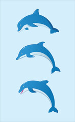 Fototapeta premium three blue dolphins jumping out of water concept. cute animal dolphin vector illustration.