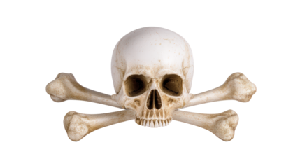 Skull and crossbones isolated on transparent background