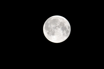 Close-up of a bright full moon against a dark night sky, showing detailed craters and lunar surface textures, captured in high resolution for astronomy and night sky enthusiasts.