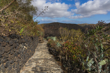 Caldera de Bandama Gran Canaria Spain - nature reserve after volcanic eruption