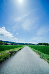 奈良の飛鳥寺の風景