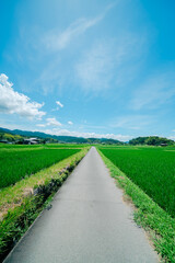 Obraz premium 奈良の飛鳥寺の風景